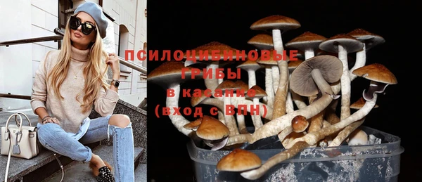 герыч Алзамай