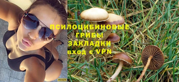 a pvp Алексеевка