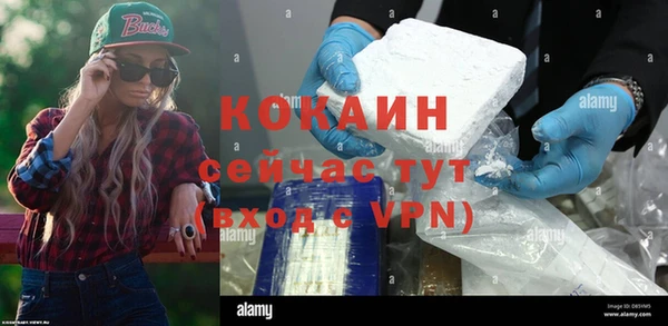индика Бабаево